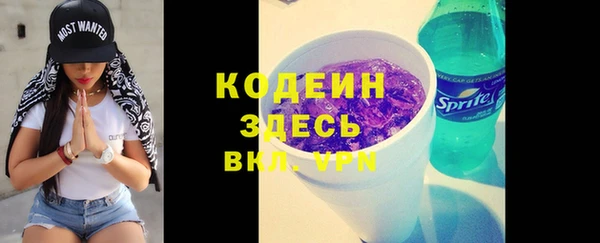 крисы Абаза