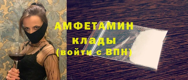 крисы Абаза