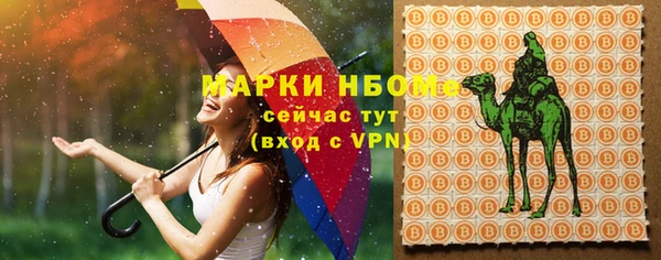 крисы Абаза