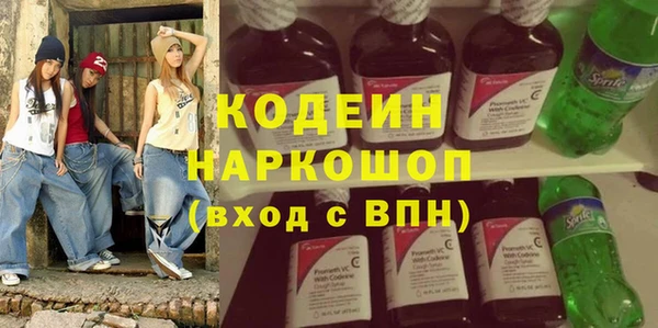крисы Абаза