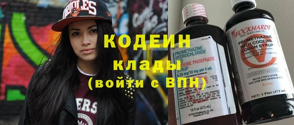 крисы Абаза