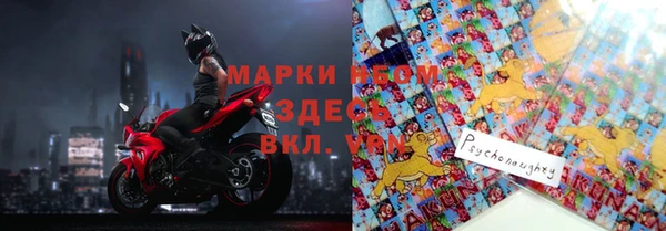 крисы Абаза