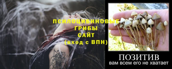 метадон Абинск