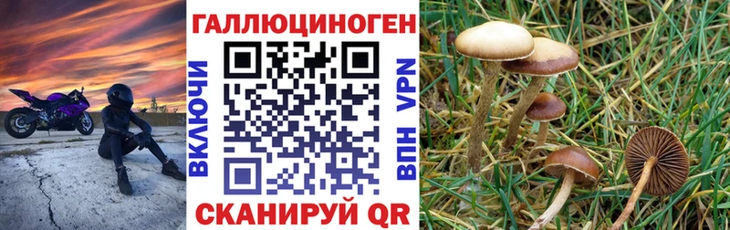 нарко площадка состав  Ак-Довурак  Галлюциногенные грибы мицелий 